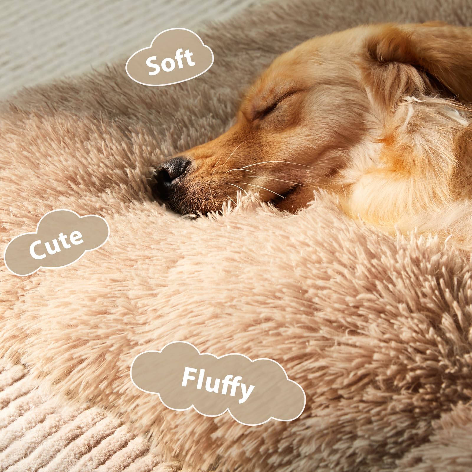 BFPETHOME bed with anti-slip bottom stays put on floors