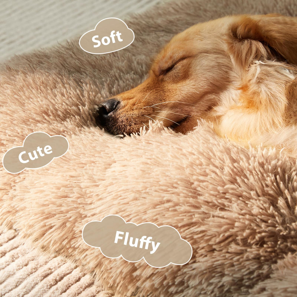 BFPETHOME bed with anti-slip bottom stays put on floors