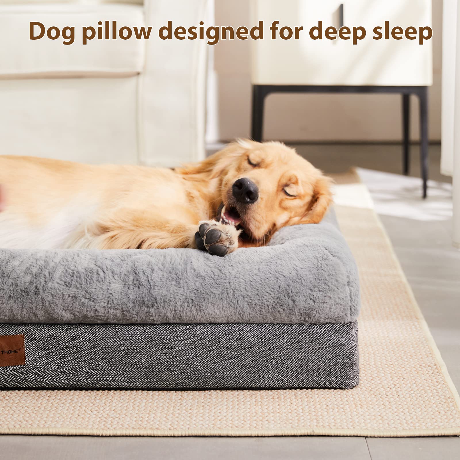 BFPETHOME bed shown in living room setup for everyday comfort