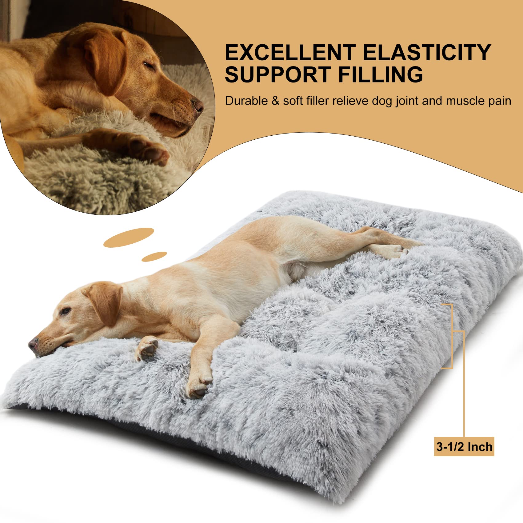 BFPETHOME vacuum-packed bed expands quickly for easy setup