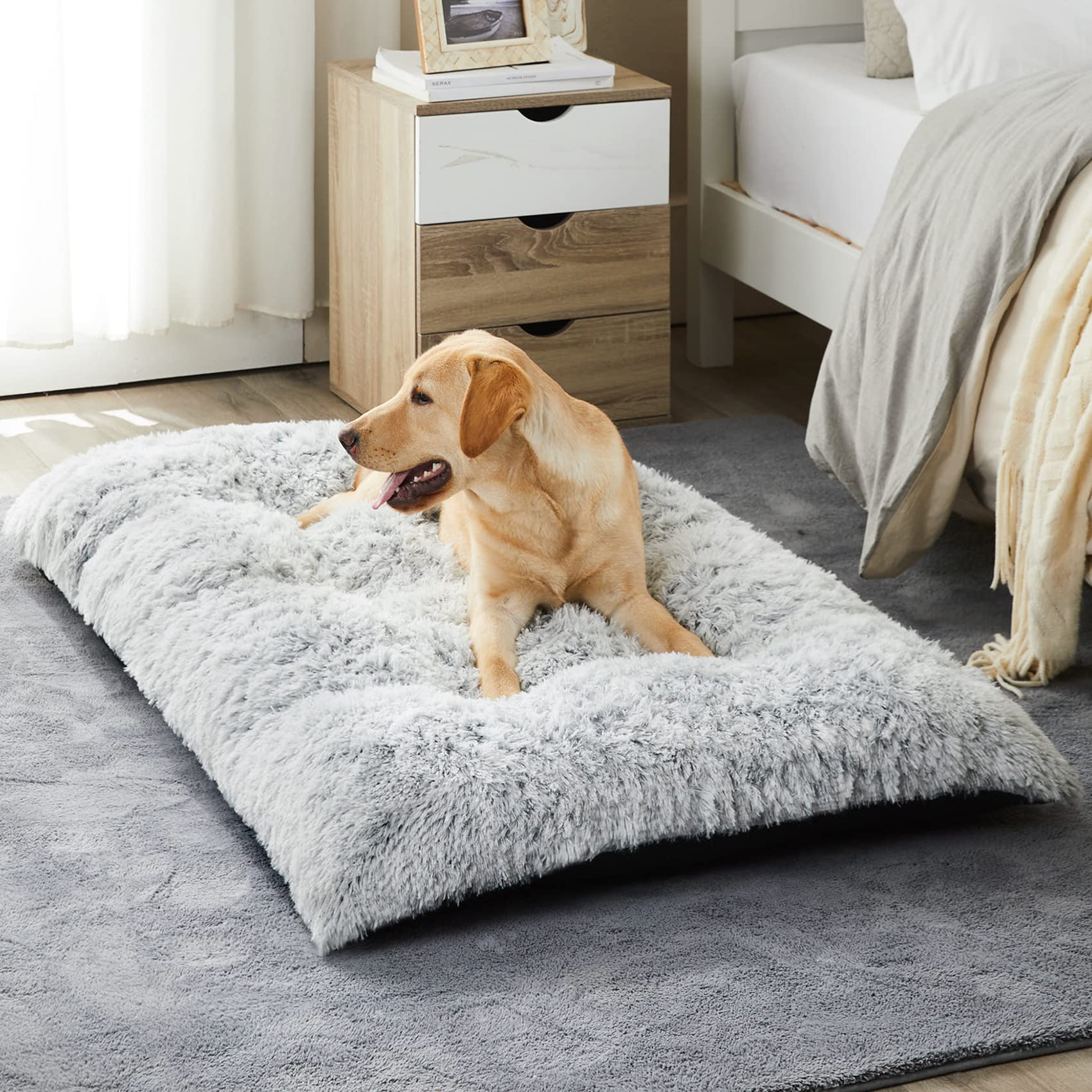 BFPETHOME large dog bed plush cover offers cozy comfort for restful naps.