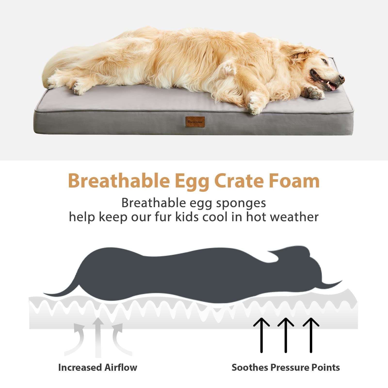BFPETHOME versatile design fits porch, patio, crate, or car
