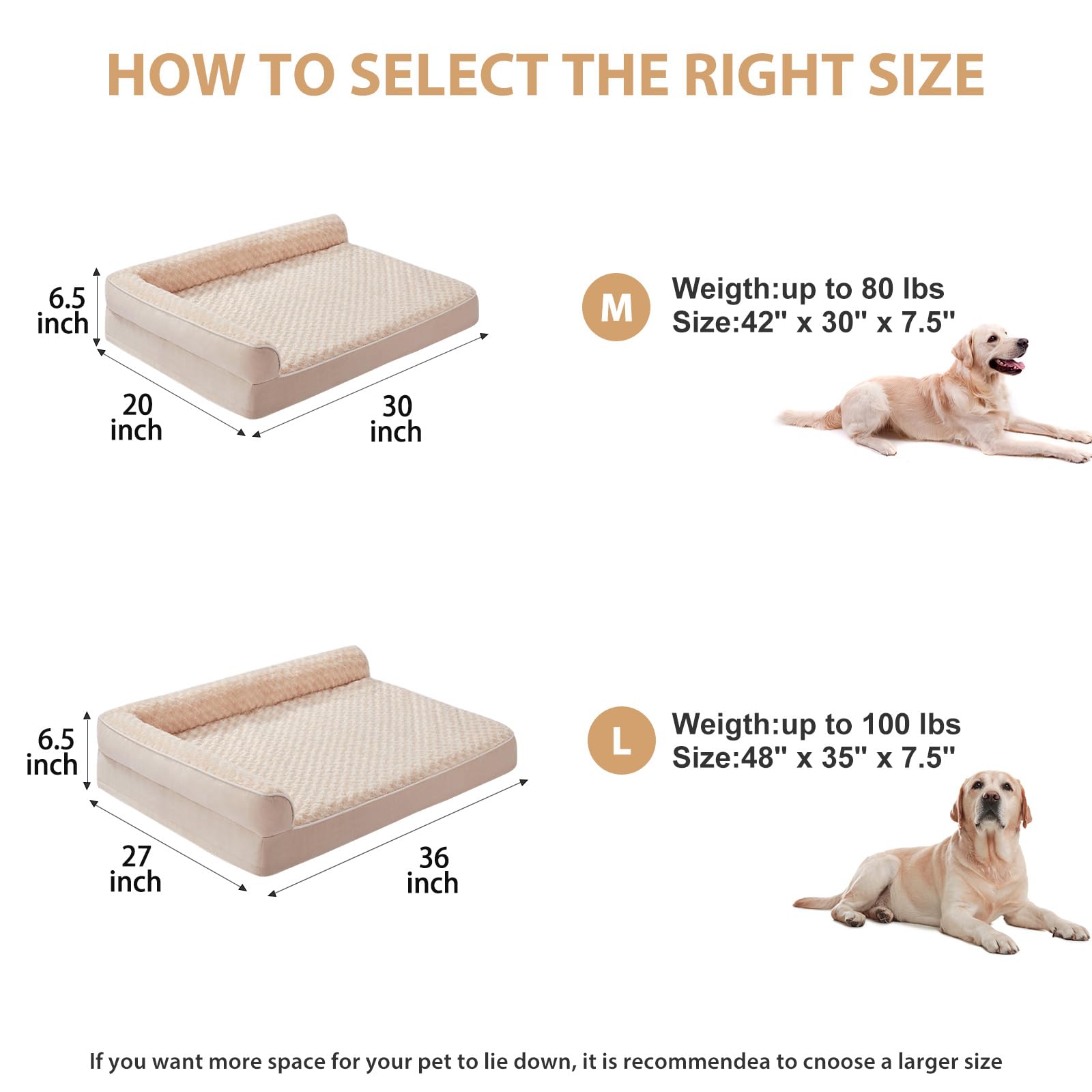 BFPETHOME XL dog bed measures 42 by 30 inches for ample lounging