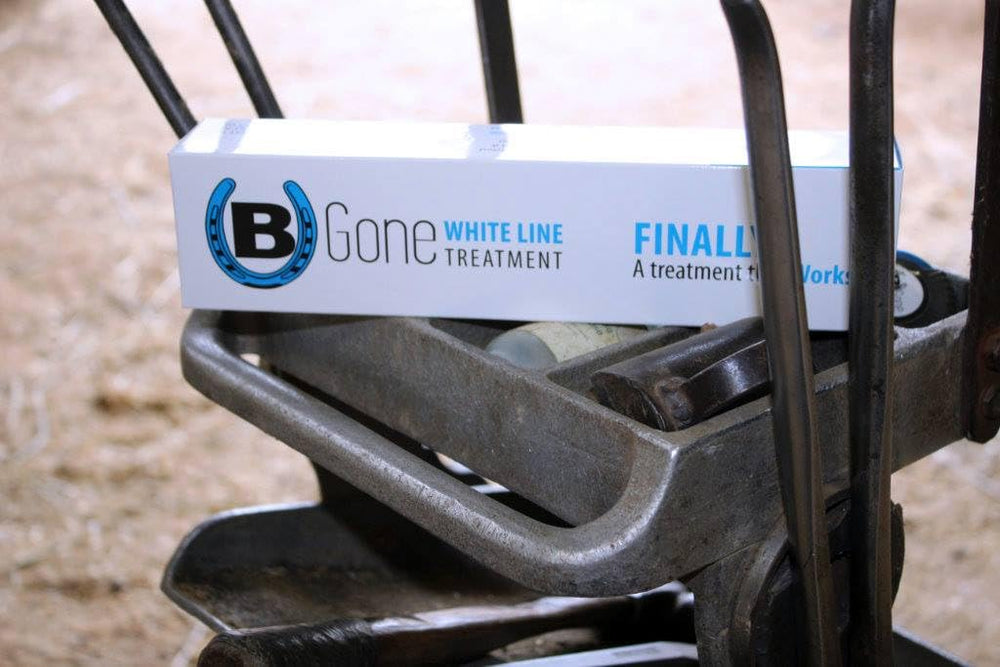 B Gone professional farrier trusted for consistent hoof care and reliability