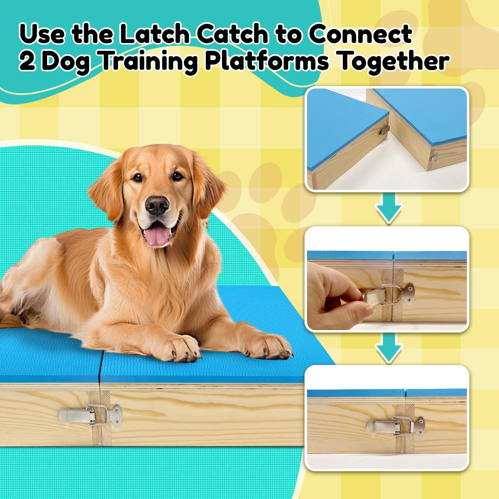 Bhyhok foam surface on dog training platform offers comfortable footing