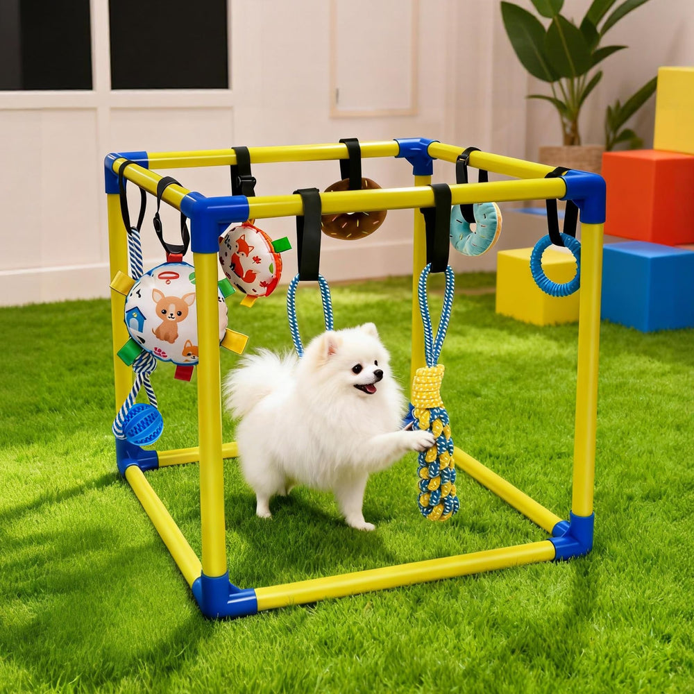 Bhyhok adjustable rope height adapts to your puppy’s size and play style