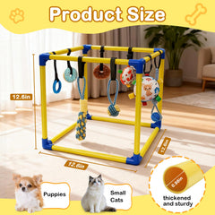 Bhyhok PVC frame ensures sturdy support for small dogs during active sessions