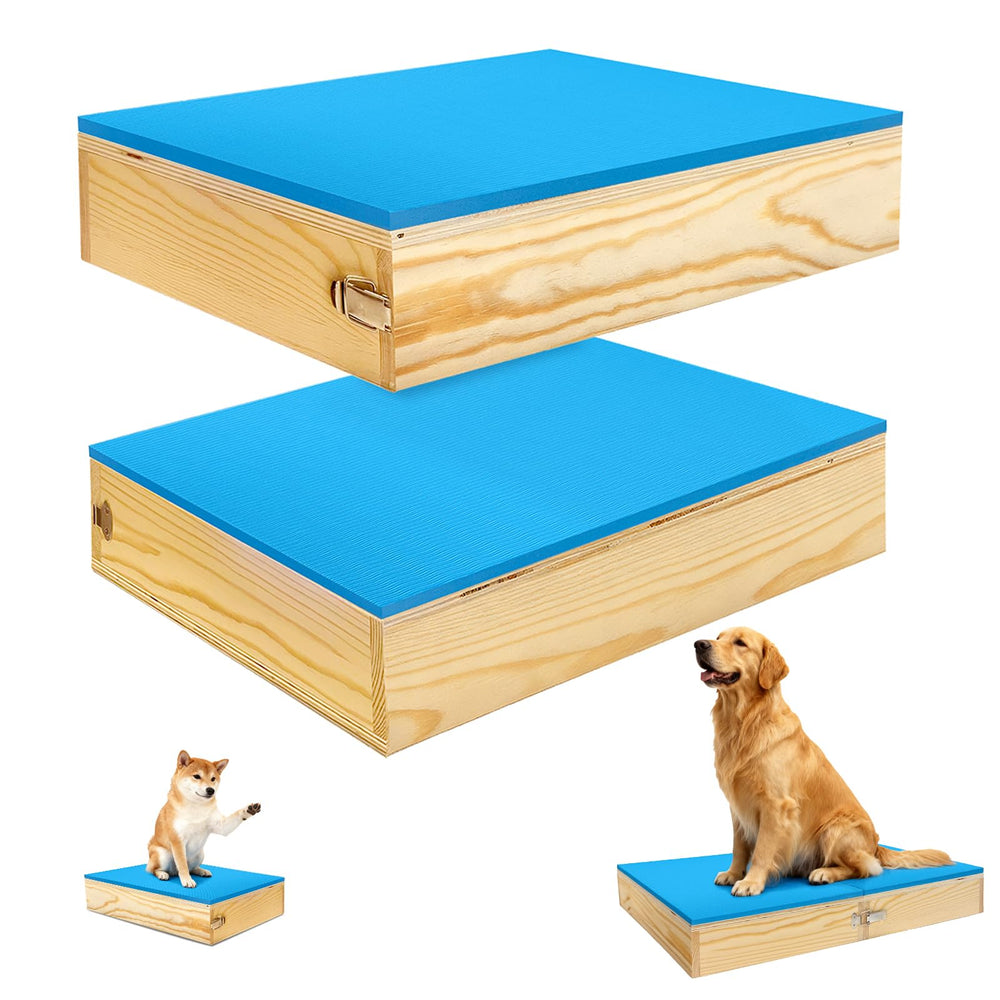 Bhyhok two-platforms connectable setup for expanding puppy agility training