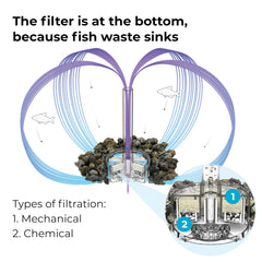 biOrb five-stage filtration diagram showing biological, mechanical, chemical, stabilization, and oxygenation