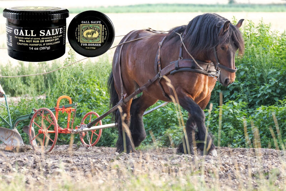 Bickmore Gall Salve on a minor wound area supports stay-put coverage.