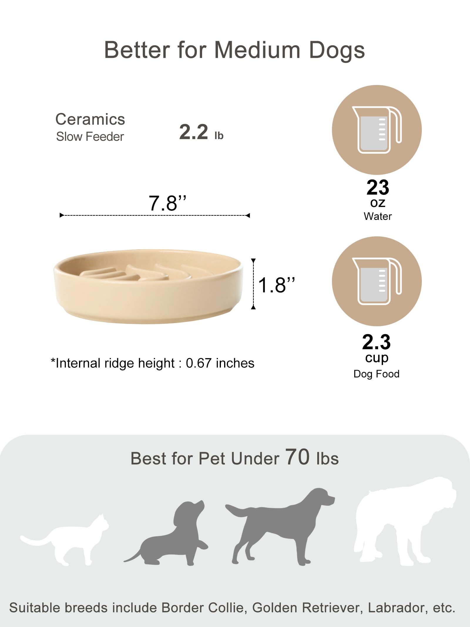 BICOPET maze ridges illustrating 10x slower eating during mealtime