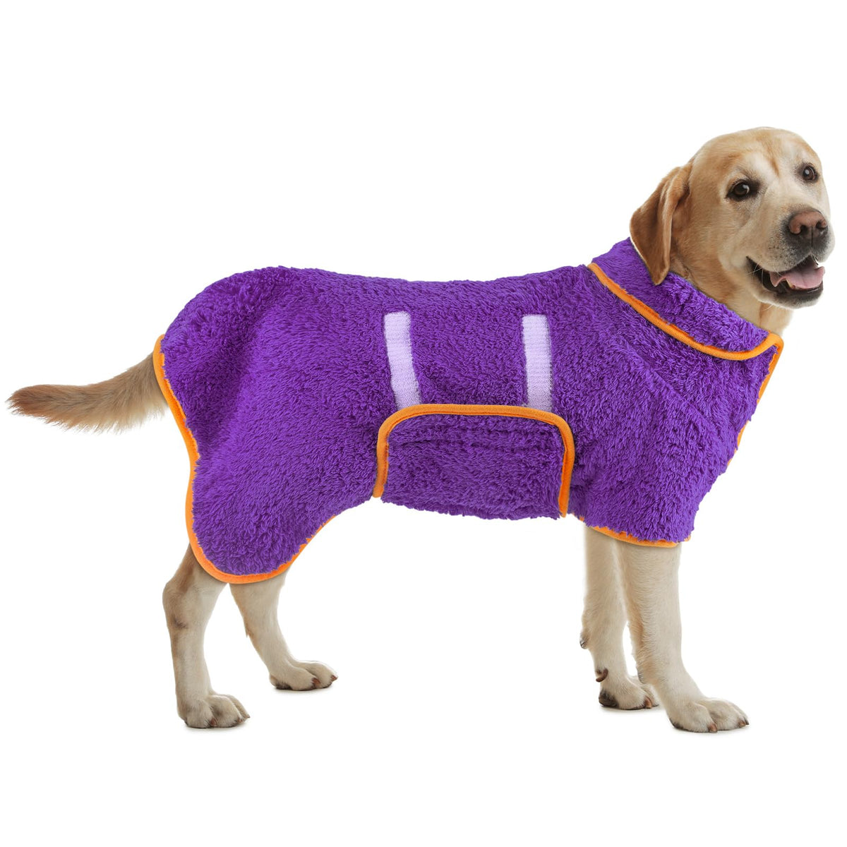 Bienbee dog bathrobe after bath demonstrates quick-dry post-bath comfort.