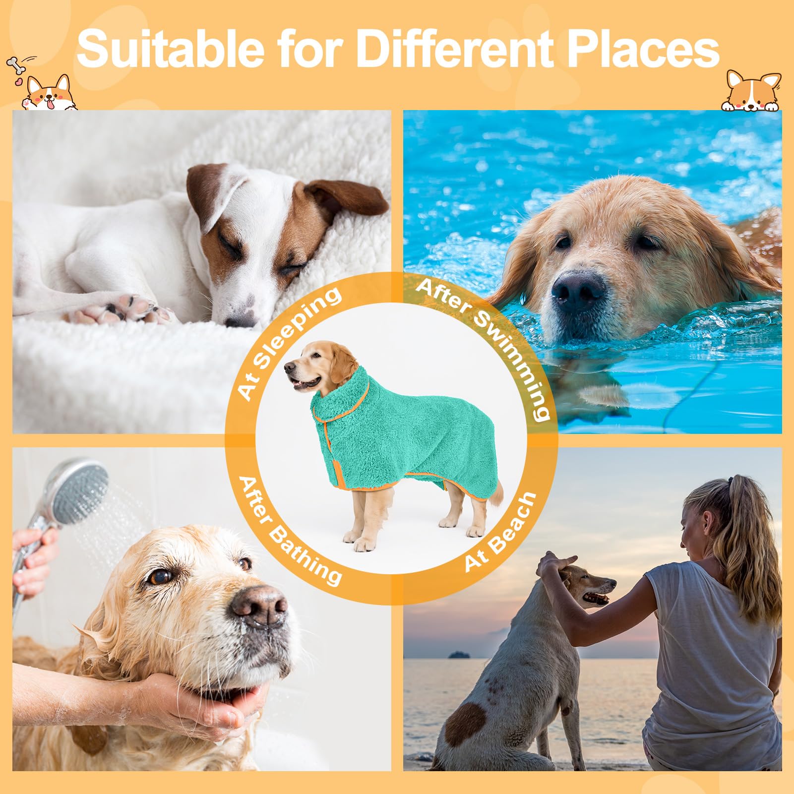 Bienbee dog bathrobe worn after bath to keep dog warm and comfortable