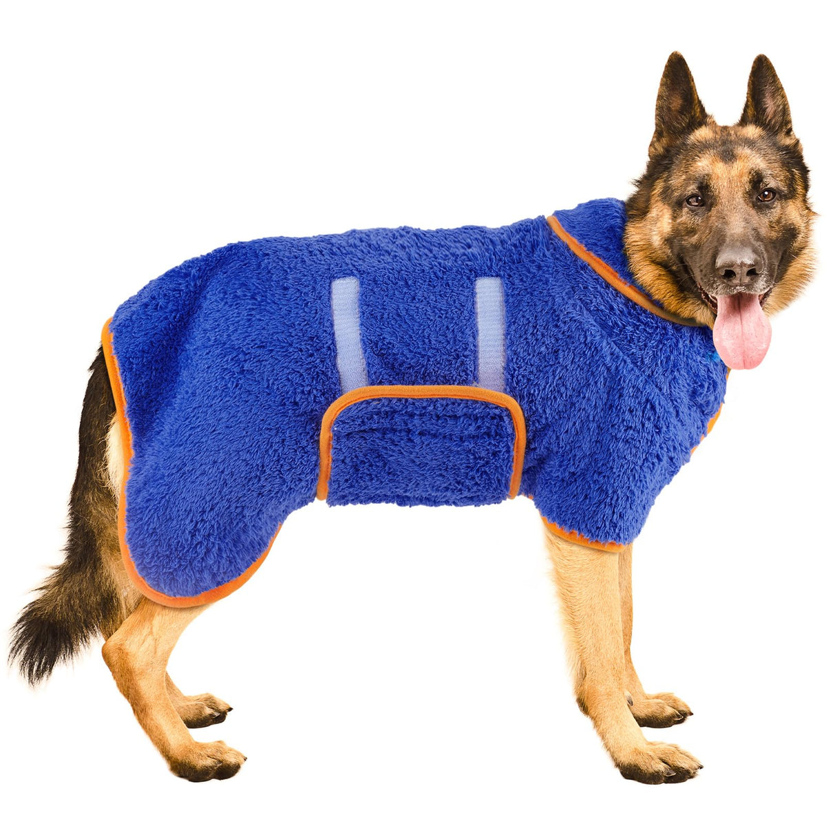 Bienbee dog bathrobe quick-dry fabric absorbing moisture after bath