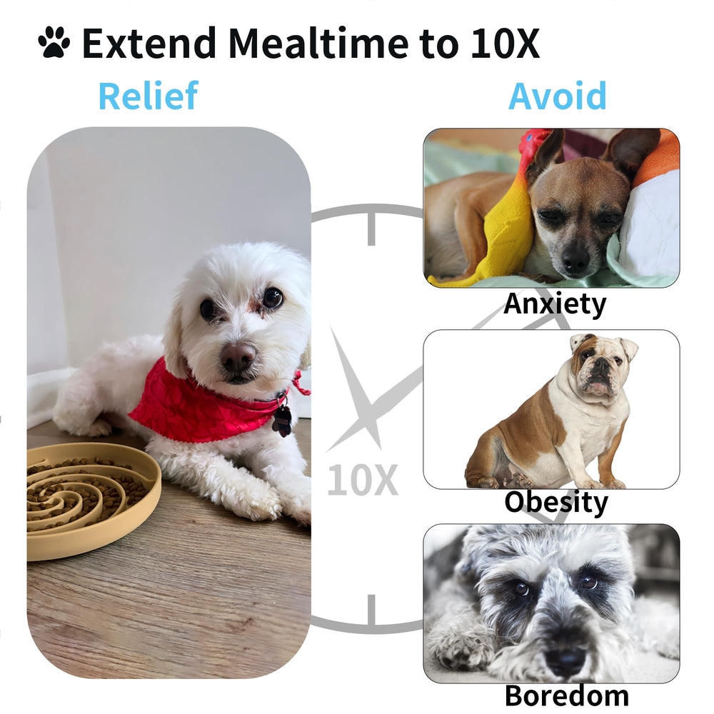 Bifeaw dishwasher-safe dog bowl for easy cleaning after meals