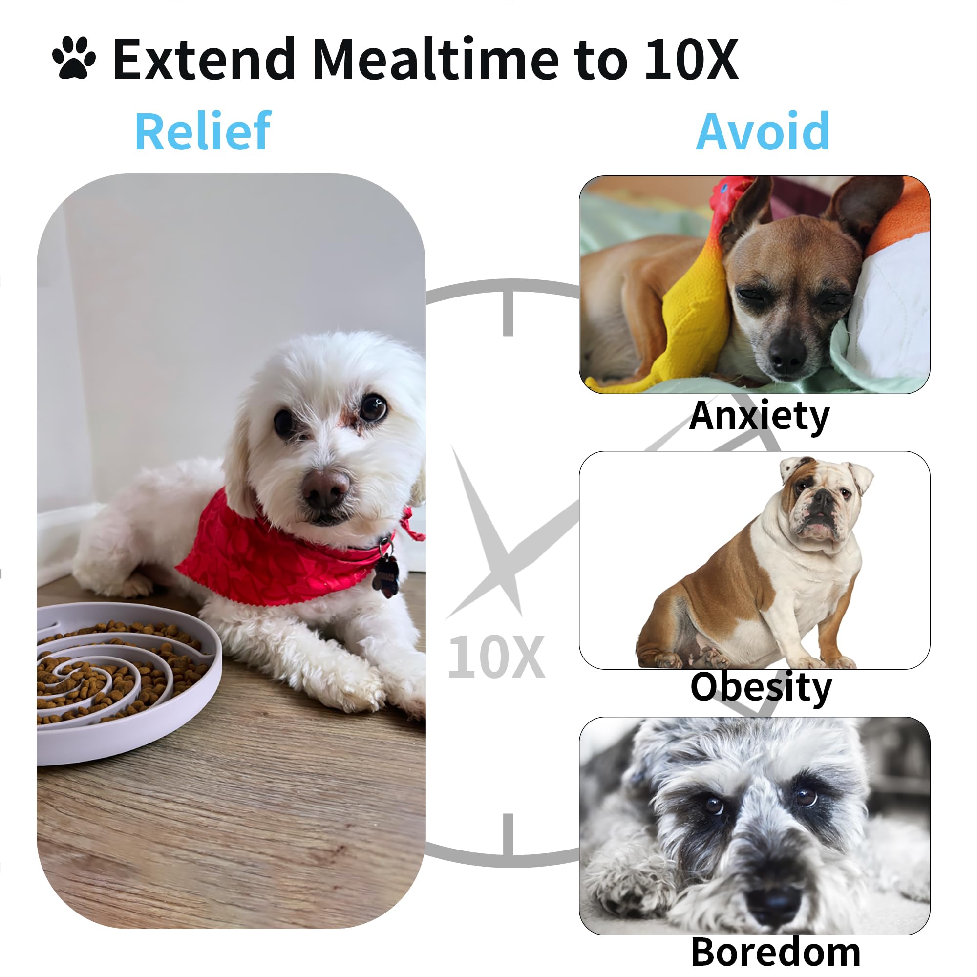 Bifeaw microwave-safe dog bowl lets you reheat leftovers easily.
