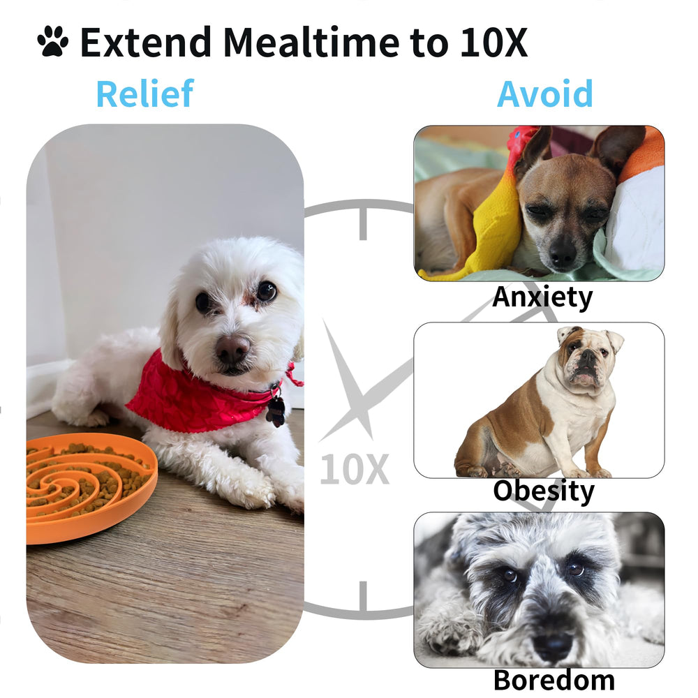 Bifeaw puzzle design close-up enhances mental stimulation during feeding.