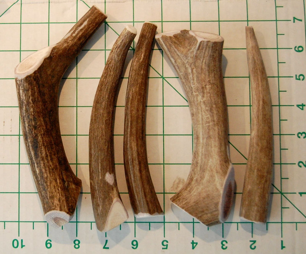Big Dog Antler Chews indoor chew leaves no greasy mess.