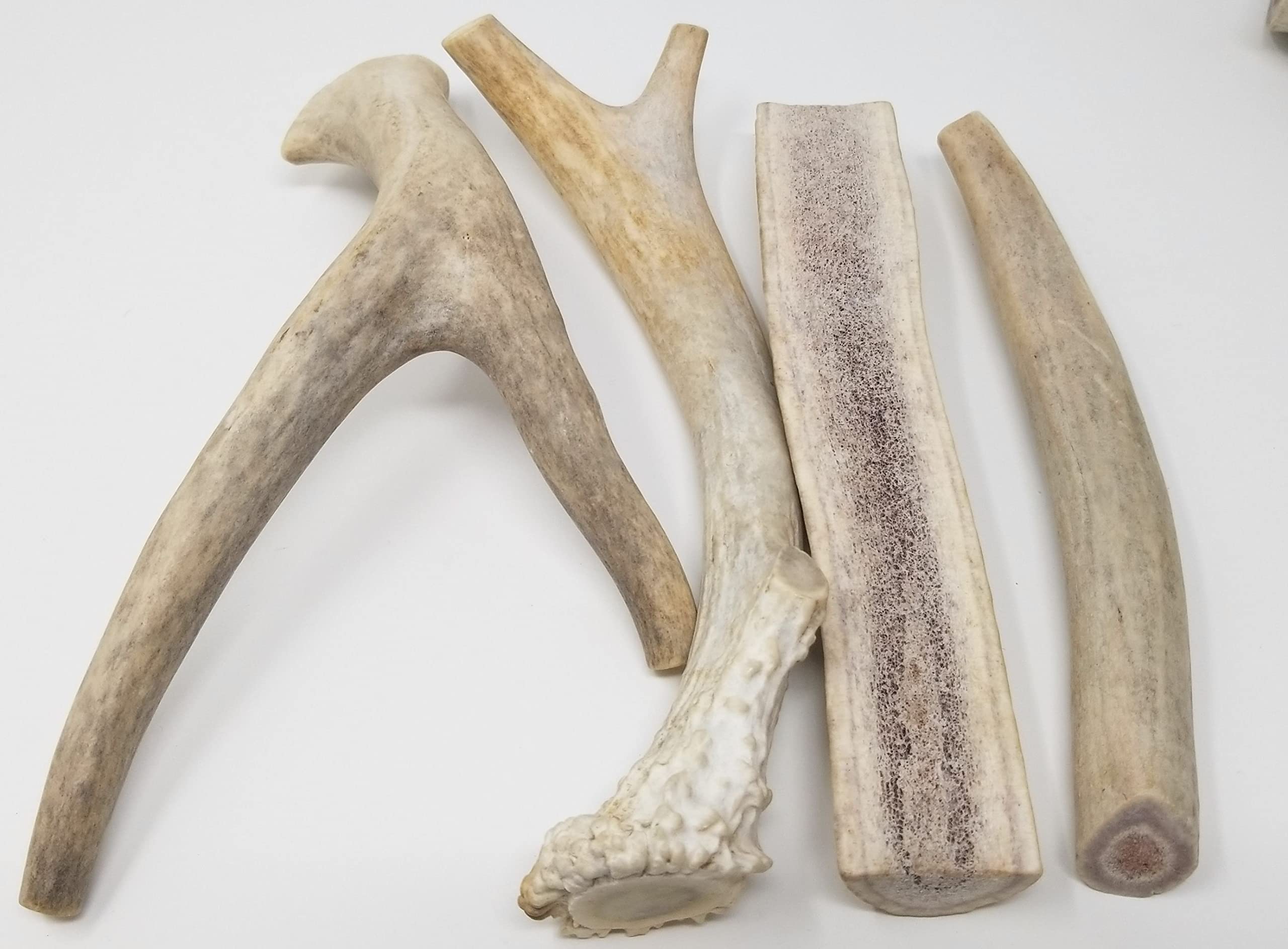 Big Dog Antler Chews indoor-friendly no-mess chew suitable for homes.