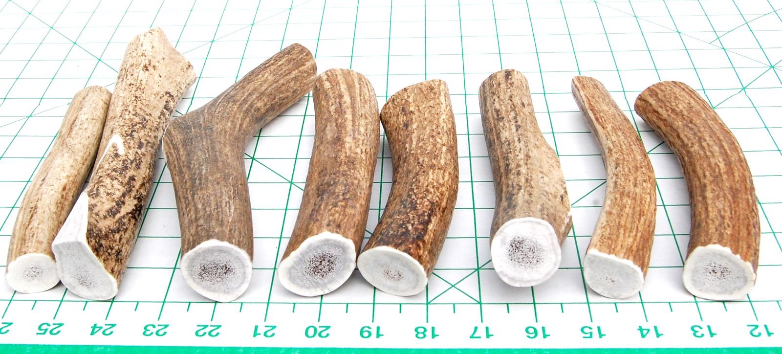 Big Dog Antler Chews: indoor-friendly, odor-free chew to keep floors clean.