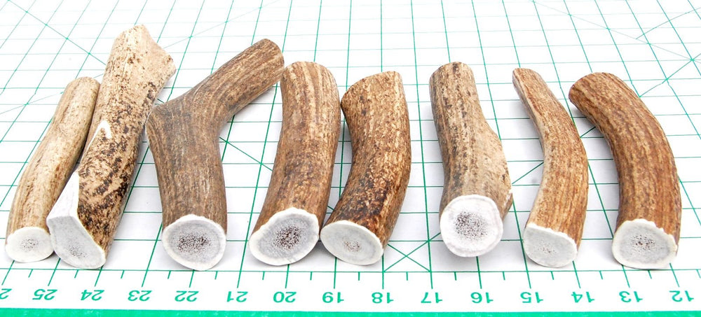Big Dog Antler Chews: indoor-friendly, odor-free chew to keep floors clean.
