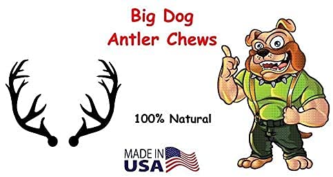 Big Dog Antler Chews indoor-safe no greasy mess
