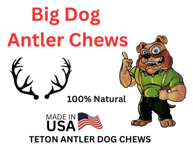 Big Dog Antler Chews: long-lasting chew that occupies dogs for hours.