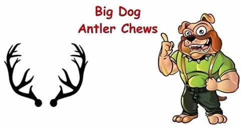 Big Dog Antler Chews natural minerals like calcium and zinc for healthy teeth.