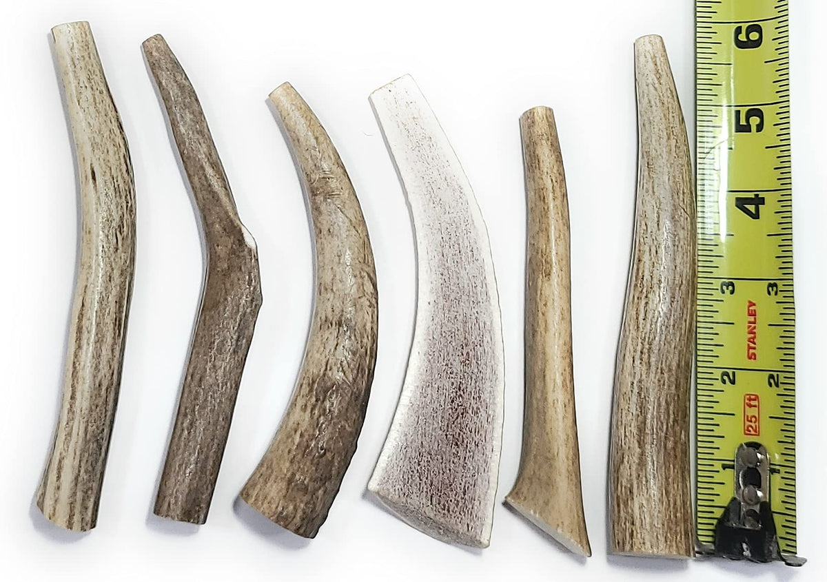 Big Dog Antler Chews six-piece pack for small dogs, long-lasting indoor chew