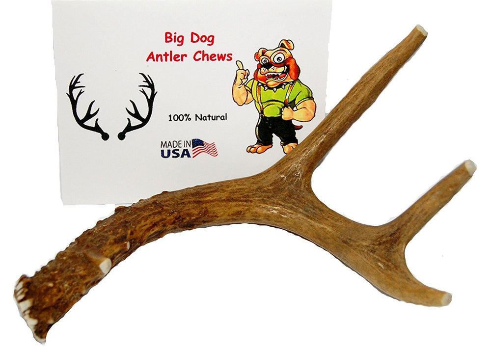 Big Dog Antler Chews antler with safety cut off tips to prevent sharp edges