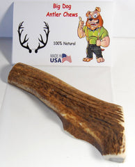 Big Dog Antler Chews sanded edges prevent sharpness for safe indoor chewing.