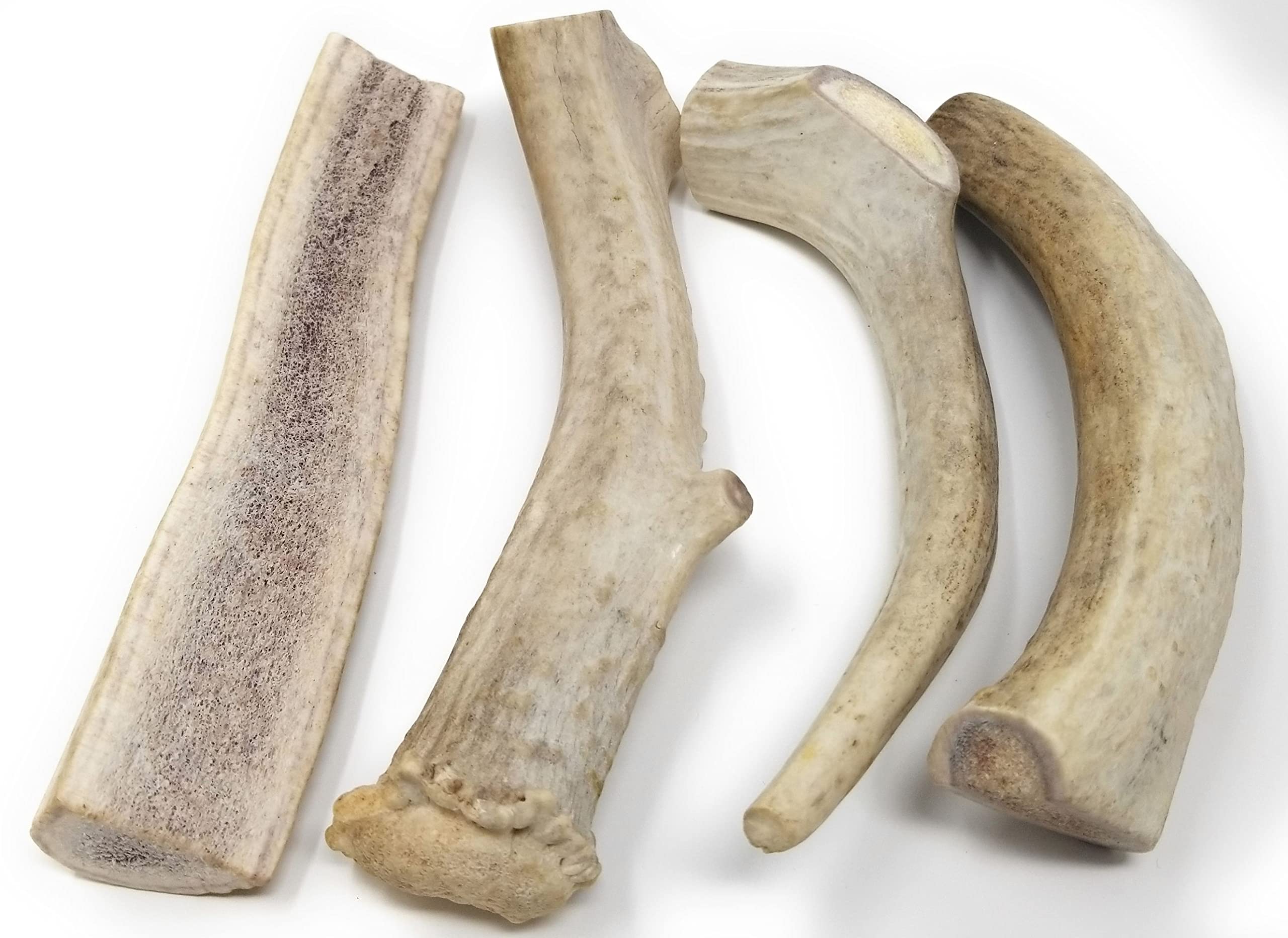 Big Dog Antler Chews six-inch split pieces support extended chewing sessions.