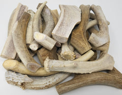 Big Dog Antler Chews sun-aged pieces show varied shapes for non-aggressive chewers.