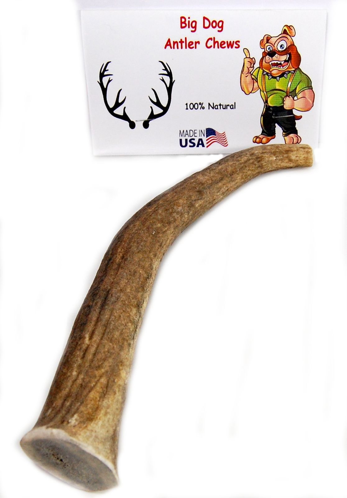 Tine enamel close-up on Big Dog Elk Antler Chew