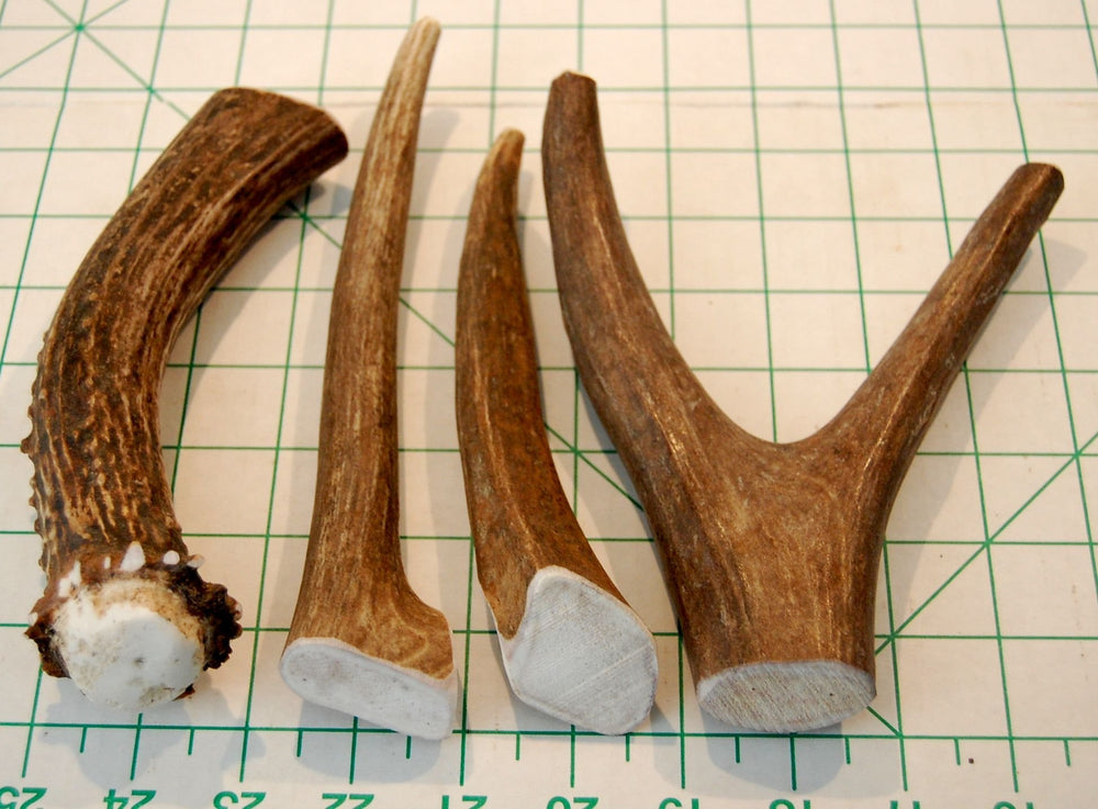 Big Dog Antler Chews all-natural chews with no added preservatives.