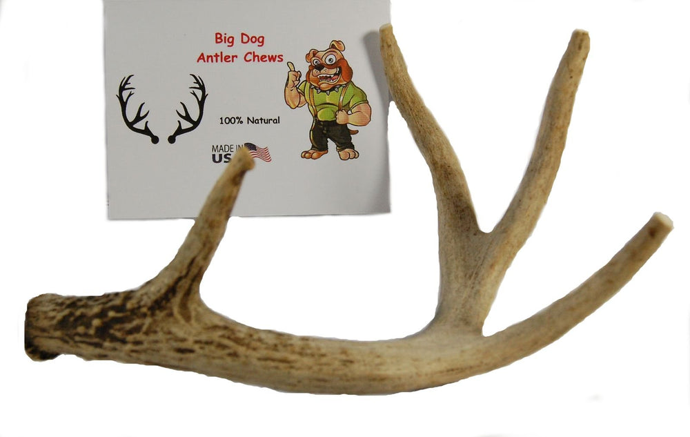 Big Dog Antler Chews USA-sourced deer antler from wild deer