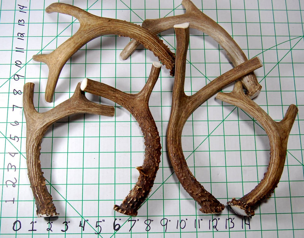 Big Dog Antler Chews sourced from USA deer, natural and additive-free.