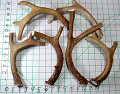 Big Dog Antler Chews sourced from USA deer, natural and additive-free.