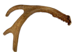 Big Dog Antler Chews: whole 9-13 inch deer antler for durable indoor chewing.