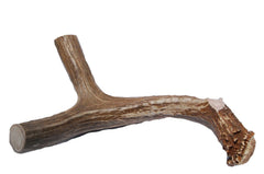 Big Dog Antler Chews XL 2-point deer antler for bold chewers
