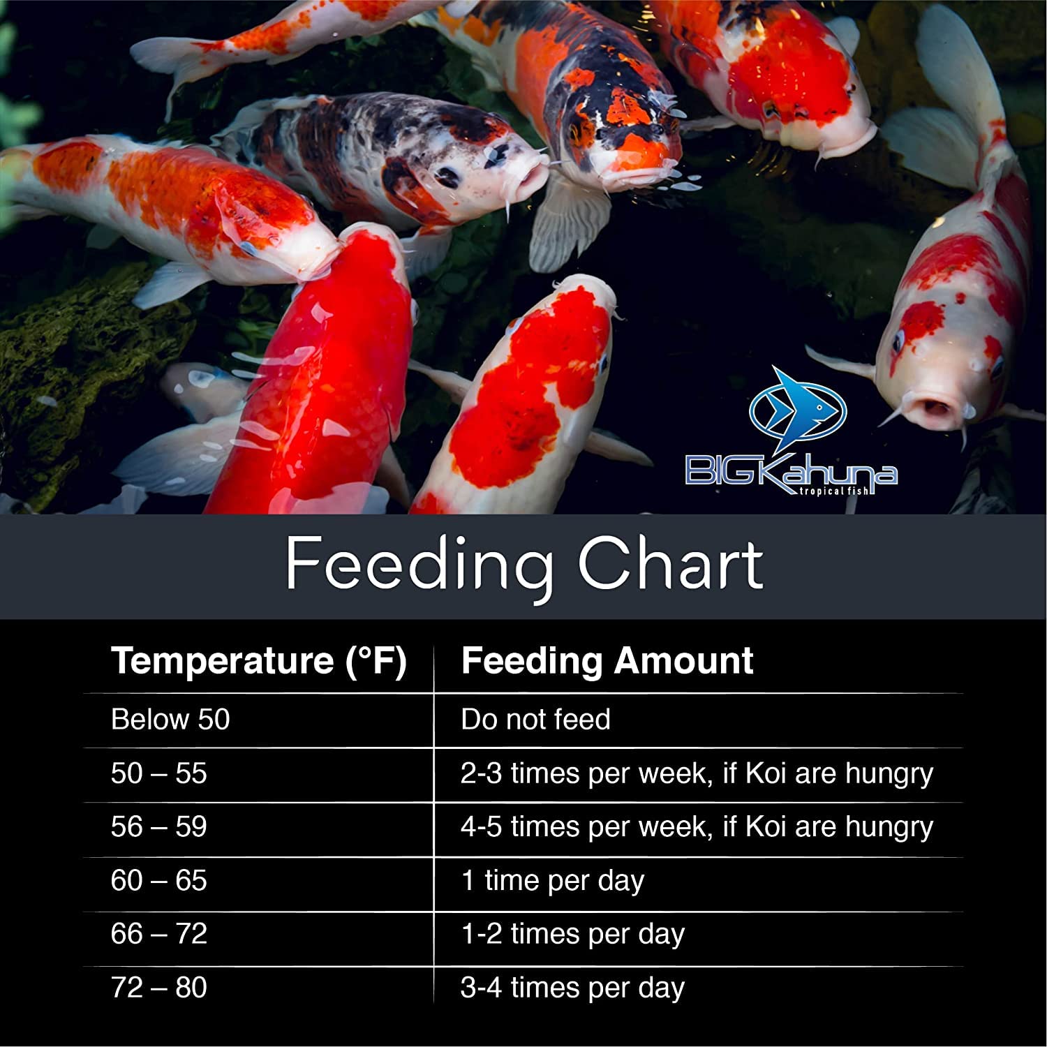 BIG Kahuna pond pellets designed for koi and goldfish