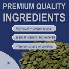 Bottom feeder setup with BIG KAHUNA TROPICAL FISH wafers promotes vibrant color