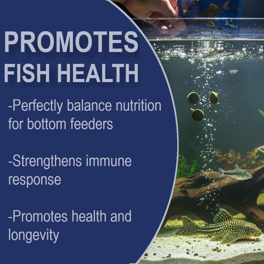 Big Kahuna Tropical Fish bottom feeder wafers promote steady color and appetite.