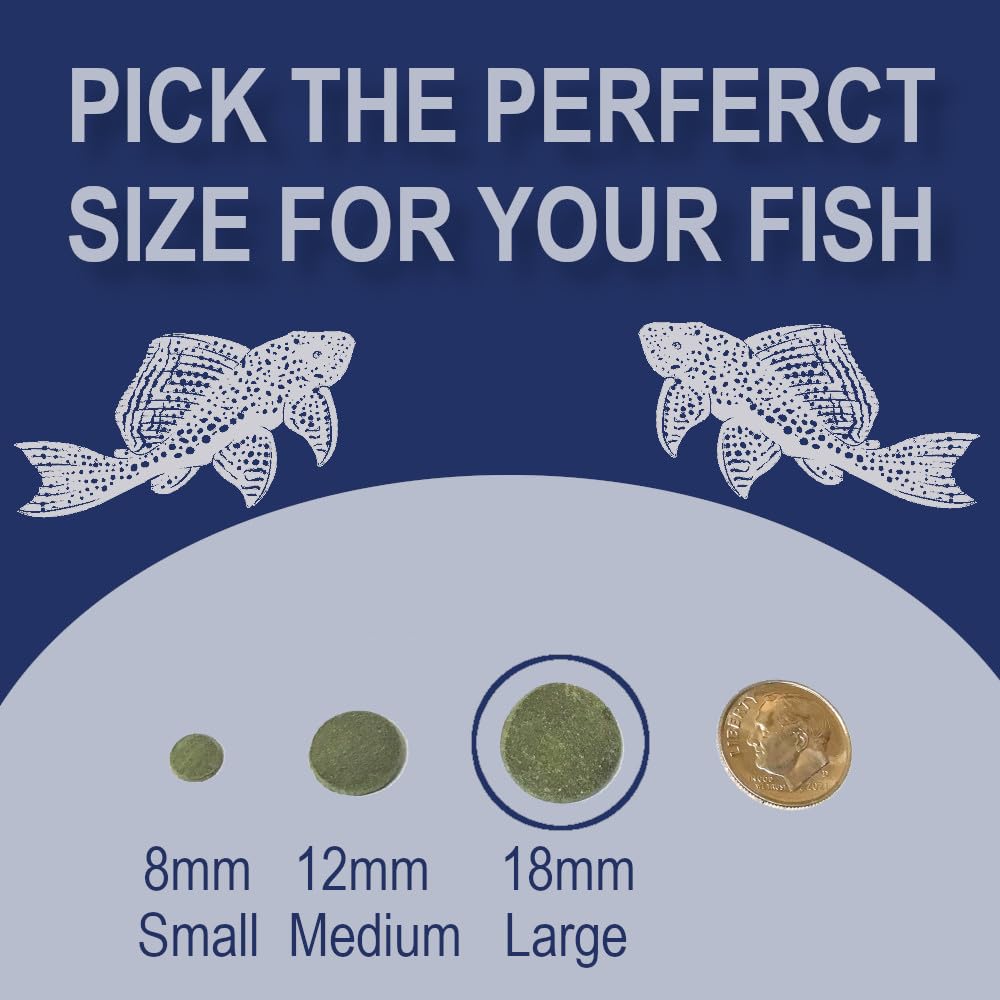Big Kahuna Tropical Fish wafers on glass tank surface suggest convenient feeding.