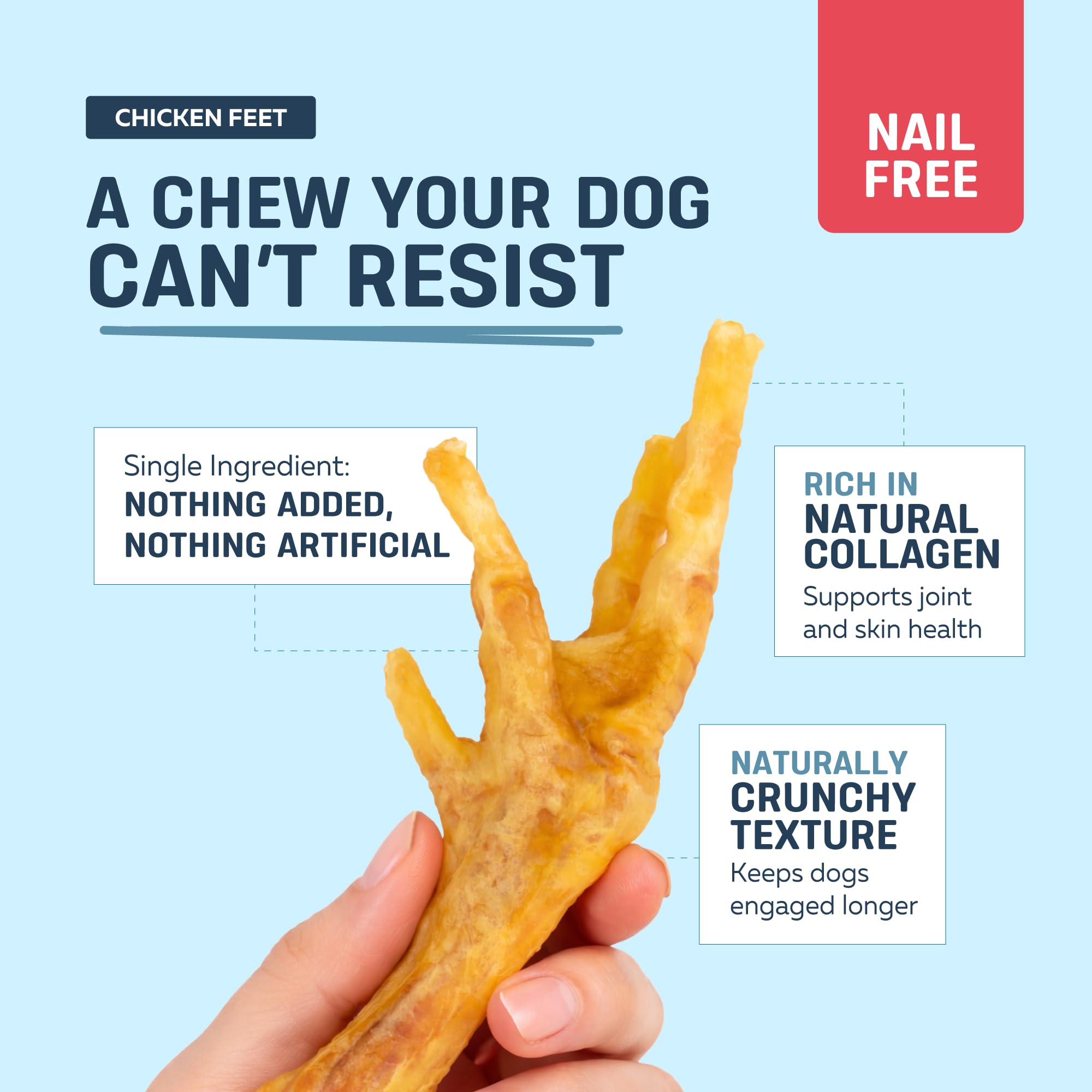 Close-up of dehydrated chicken feet texture, highlighting crunchy chew for dental health.