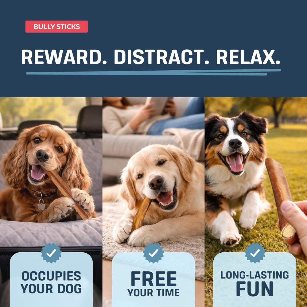 Big Lu grass-fed beef chews — single-ingredient, grain-free treat for dogs