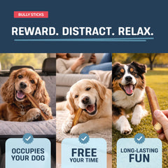 Big Lu grass-fed beef chews — single-ingredient, grain-free treat for dogs