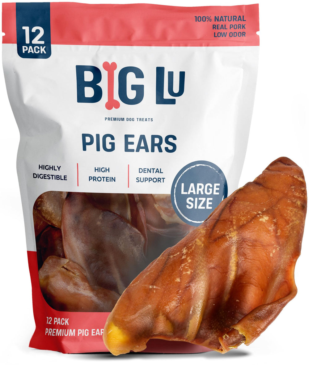 Big Lu pig ears close-up, natural single-ingredient chew for dental care
