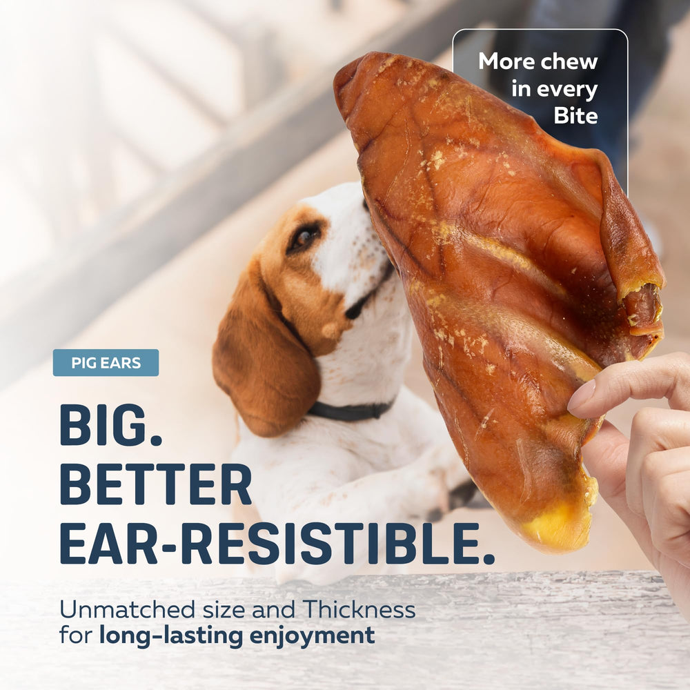 Big Lu pig ears open bag shows natural aroma and no artificial additives