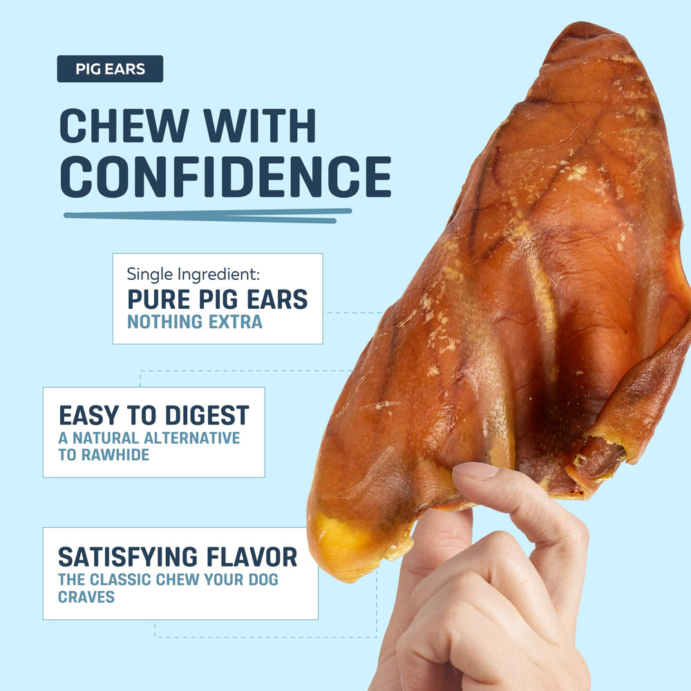 Big Lu pig ears bag display highlighting ethical sourcing and 12-count packaging
